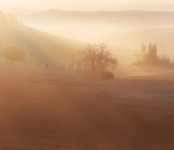 Zonsopgang op platteland landschap — Stockfoto