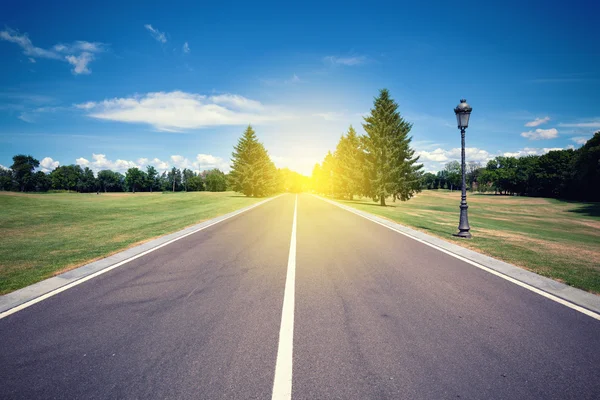 Camino de campo en el día soleado —  Fotos de Stock