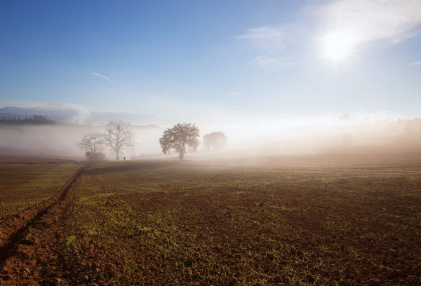 Paisaje soleado y nebuloso — Foto de Stock