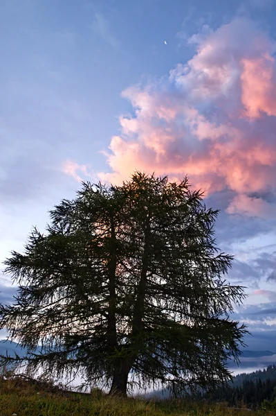 Bewolkt zonsopgang op Karpaten — Stockfoto