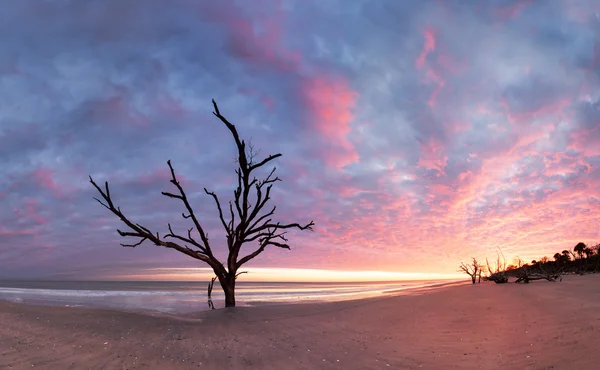 Botany Bay strand bij bewolkt zonsondergang — Stockfoto