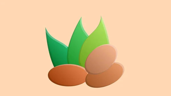 Nueces de almendra enteras y medio divididas con hojas verdes en el fondo. Ilustración vectorial — Vector de stock