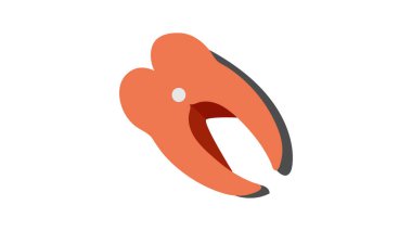 Suşi menüsü için kırmızı balık somonu bifteği. Vektör illüstrasyonu. İzole edilmiş beyaz arka plan.