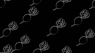 Siyah arkaplanda turp, vektör çizimi, desen. Oblong turp, salatalar için sağlıklı bir sebze. Siyah ve beyaz desen, tebeşir biçimi