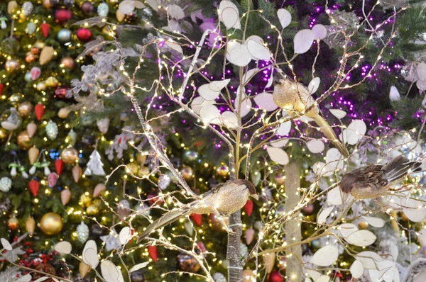 Uccello Seduto Sul Ramo Dell Albero Pino Decorato Sullo Sfondo — Foto Stock