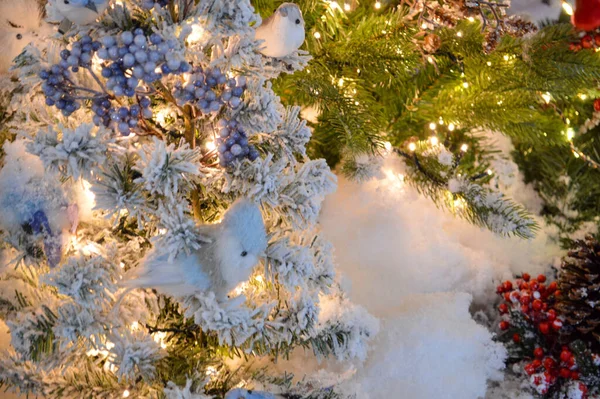 背の高い人工スプルース 木々は美しく光沢のあるカラフルなボールで飾られています 鳥が枝に座っています 枝に雪がかかっています — ストック写真