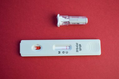 Hızlı Covid-19 Coronavirus test kaseti antikor veya sars-cov-2 virüs hastalığı için elimizde ve kan testi tüpü salgını konsepti yakın plan.