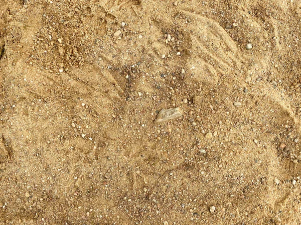 Yellow Crumbly Dry Sand Small Stones Ground Background Texture — Stock Photo, Image