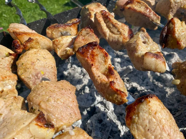 Porco Espetos Cozidos Churrasqueira Preparação Shish Kebab Bbq — Fotografia de Stock