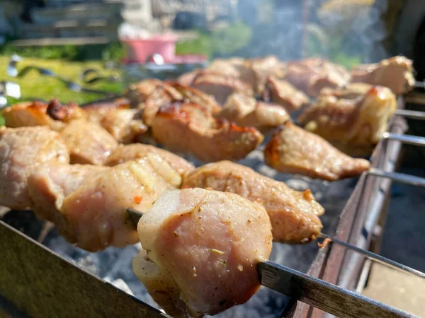 Вкусные Красивые Жареные Свиные Шашлыки Дыму Приготовленные Гриле Шашлыками Углями — стоковое фото