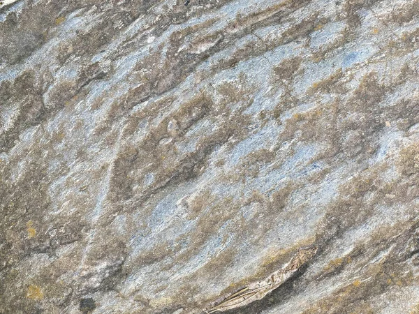 Biały Beton Kamień Powierzchnia Farba Tło Ściana Grunge Cement Farba — Zdjęcie stockowe