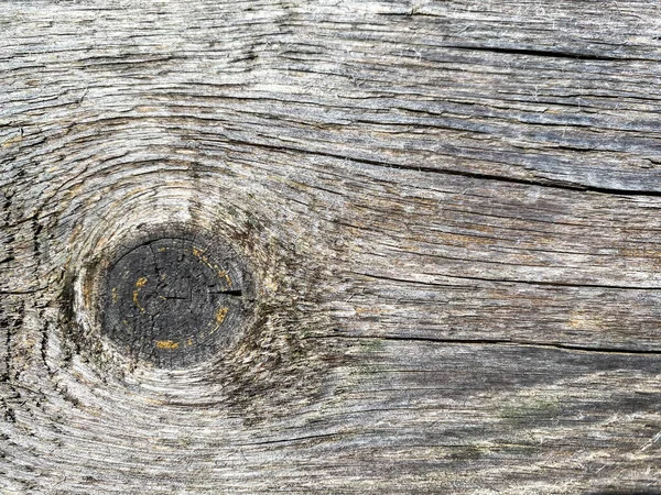 Tło Tekstury Drewna Zbliżenie Piękny Kawałek Drzewa — Zdjęcie stockowe