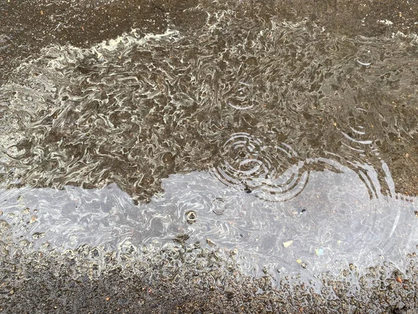 노란색 흰색의 줄무늬가 흙탕물에서 그리며 오르는 아름다운 빗물의 표면이다 말이야 — 스톡 사진