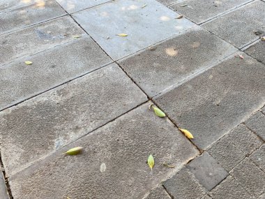 Alan büyük uzun beton levhalarla kaplıdır. Perspektif azalıyor. Seçici Odaklanma.