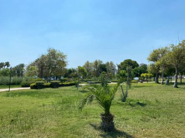 Antigua. Karayip Adaları. Palm Park 'ta Özgür Adam Körfezi ve Sahili' nin yanında panoramik manzara.