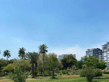 Güzel tropik bahçe Yüzme Havuzu, avuç içi ve çiçekler.