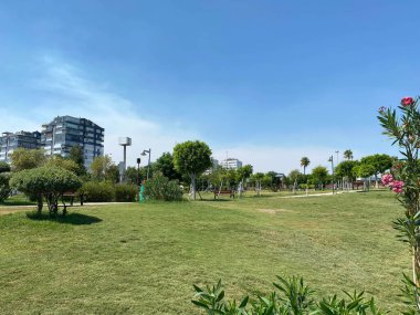 Yeşil bitkileri, tropikal ağaçları ve çalıları olan yeni ve güzel bir modern park. Şehirde dinlenme yeri.