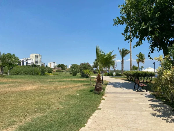 Ein Blick Durch Das Laub Eines Gepflegten Rasens Einem Park — Stockfoto