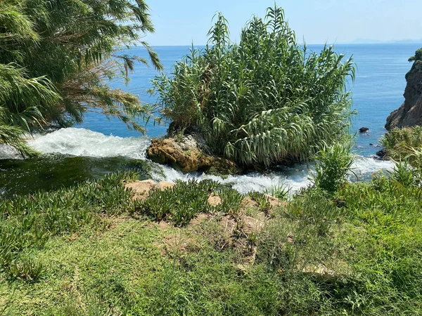 Крутий Вид Зверху Край Зеленої Скелі Міцну Скелясту Берегову Лінію — стокове фото