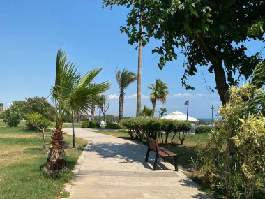 Yeşil bitkileri, tropikal ağaçları ve çalıları olan yeni ve güzel bir modern park. Şehirde dinlenme yeri.