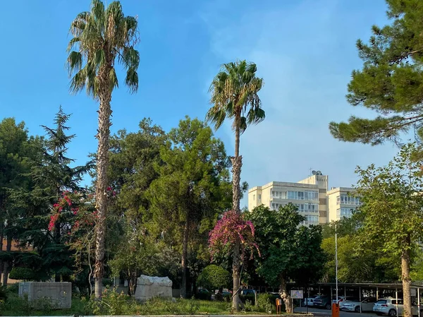 Crossroads Block Beautiful Low Rise Buildings Palm Trees — Stock Photo, Image