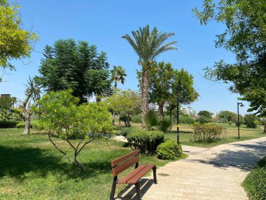 Yeşil bitkileri, tropikal ağaçları ve çalıları olan yeni ve güzel bir modern park. Şehirde dinlenme yeri.