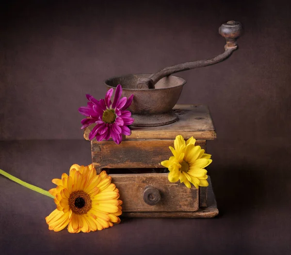 Old New Old Grinder Flowers Still Life Stock Picture