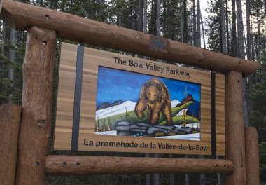 Bow Valley parkway manzara