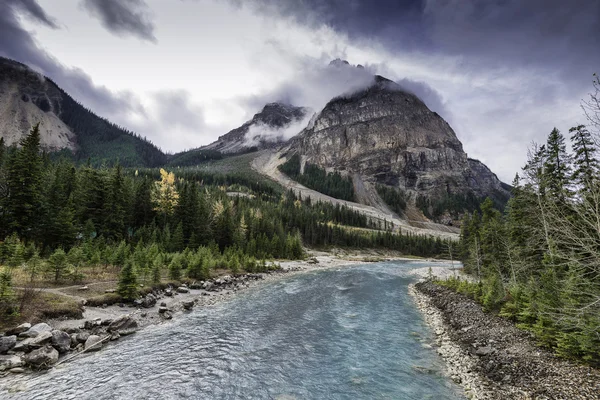 Kicking Horse rivier grenzend aan veld in Brits-Columbia, Canad — Stockfoto