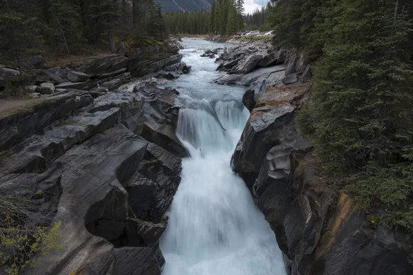 NUMA падає, Kootenay Національний парк — стокове фото