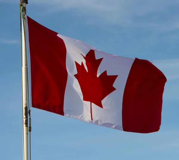 The national Canadian flag of Canada CA — Stock Photo, Image