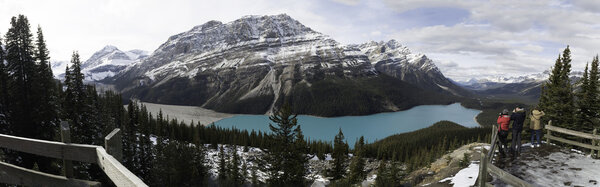 Peyto Lake Panoramic