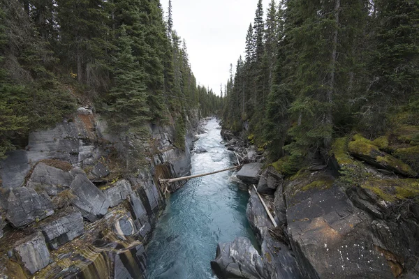 NUMA падає, Kootenay Національний парк — стокове фото