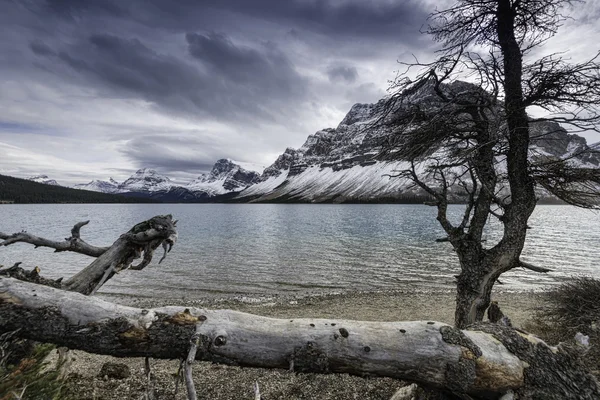 Bow Lake — Stock Photo, Image