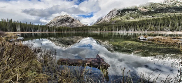 Buller staw refleksje — Zdjęcie stockowe