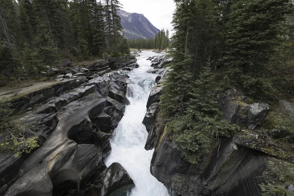 NUMA падає, Kootenay Національний парк — стокове фото