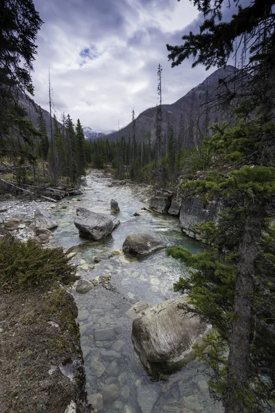 Marmor Canyon, Kootenay nationalpark — Stockfoto