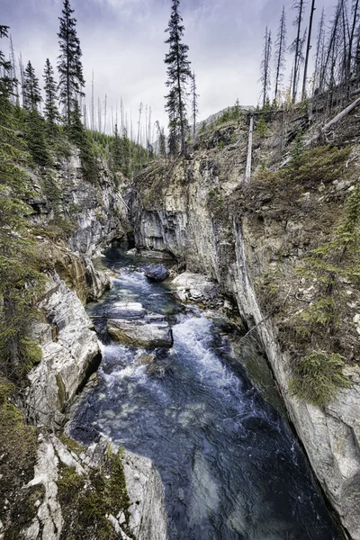 Marble Canyon, Kootenay National Park — Stock Image Marble Canyon, Kootenay National Park Stock Photo