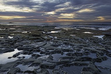 Çukurların hastaneler, La Jolla resif