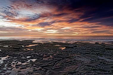 Çukurların hastaneler, La Jolla resif