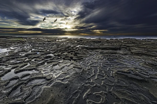 Nemocnice útesu La Jolla — Stock fotografie