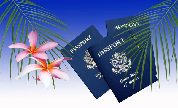 Flores e passaportes americanos — Fotografia de Stock