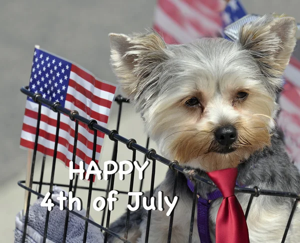 Dog with words 'Happy Fourth Of July' — 스톡 사진
