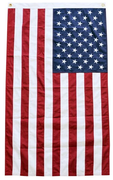 National symbol of America — Stock Photo, Image
