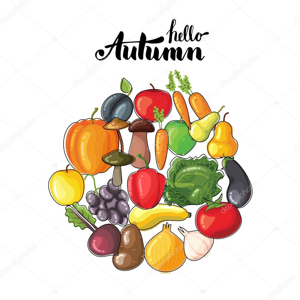 Iscrizione di autunno con frutta e verdura Piatto di vettore Frutta e verdura per menu o pubblicit  Colori vivaci Modello di disegno — Vettoriali di