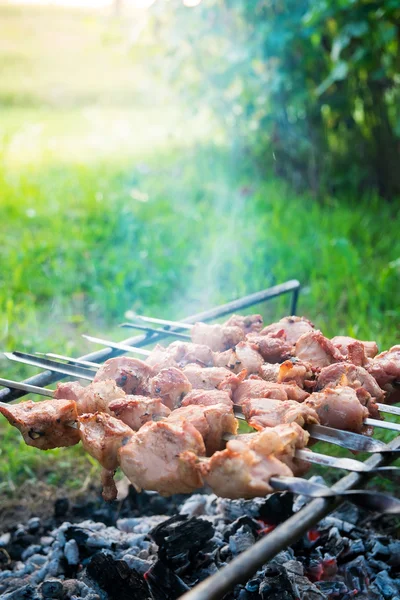 Bir ateşe ızgara kebap — Stok fotoğraf