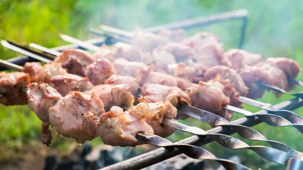 Kebab grelhando em uma fogueira — Fotografia de Stock