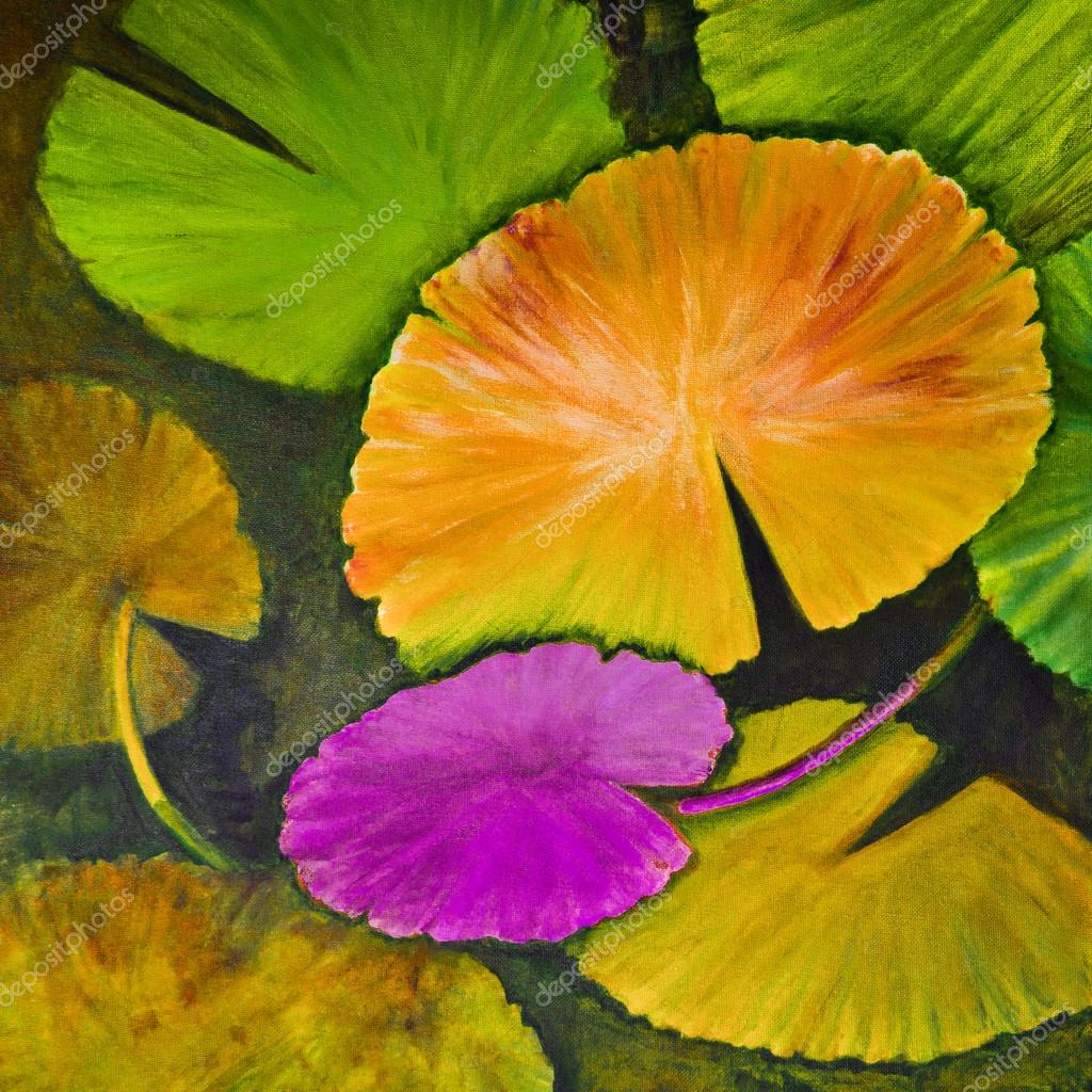 Surreal Water Lily Pads Stock Photo Image By C Lynnealbright Surreal Water Lily Pads Stock Photo Image By C Lynnealbright