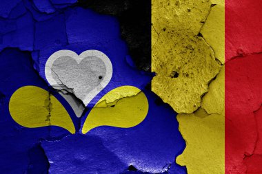 Kırık duvarda Brüksel bayrağı