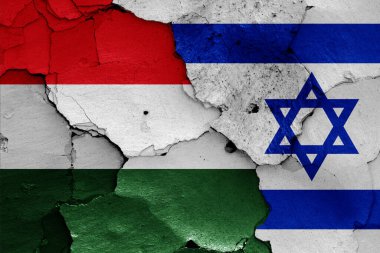 Macaristan ve İsrail bayrakları